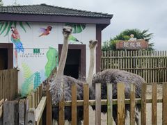 -太阳岛度假酒店