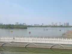 -皇冠明珠鱼翅楼(水上公园店)