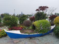 -荷兰花海