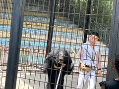 -贵州森林野生动物园