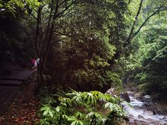 -西岭雪山大飞水景区