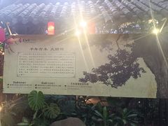 -大树头·森林餐厅(石碁店)