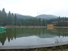 -武陵山森林公园