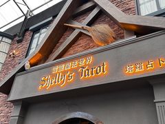-雪灵魔法世界SHELLY’S TAROT(大良桂畔里店)