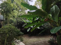 -胶囊画廊