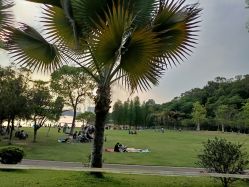 -佛灵湖水上乐园