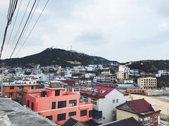-枸杞岛