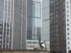-全季酒店(成都春熙路IFS国金中心店)