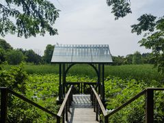 -东平国家森林公园