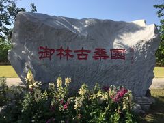 -御林古桑园