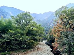 -水墨汀溪风景区