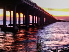 -宝安西湾红树林湿地公园