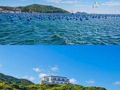 -枸杞岛