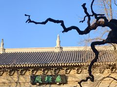 -灵谷景区