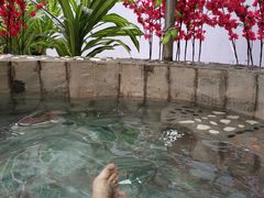 -兴芮温泉度假区