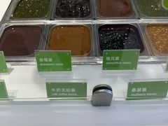 -Salud撒露欧洲冻酸奶(蓝色港湾店)