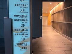 -合肥大剧院