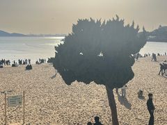 -青岛海滨风景区