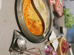-生活如沸·顺德水牛奶火锅(大学路店)