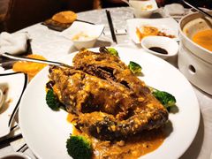 -新镇江酒家(南京西路店)