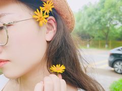 -美的鹭湖森林度假区