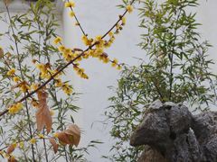 -拙政园
