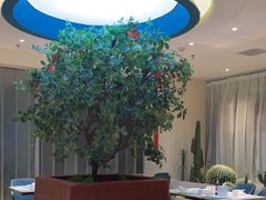 -悦海·家宴·冰花皮皮虾大锅贴(宝龙店)