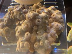 -Rabbit Cafe私房西餐甜点咖啡(栖霞路店)