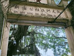 -小洲村