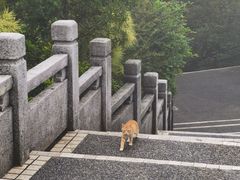 -广州市白云山风景名胜区