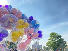 -上海迪士尼度假区