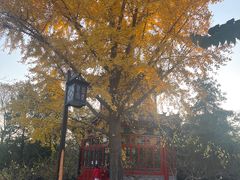 -宣武艺园
