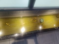 -邵汇大虾火锅(鲁迅路店)