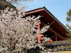 -龙华寺