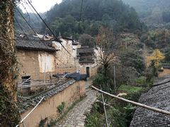 -杨家堂村