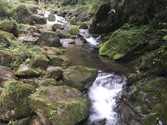 -青城山