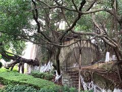 -胡里山炮台