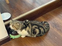 -参差咖啡(水果湖公园店)