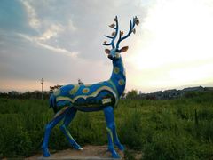 -日照灯塔风景区