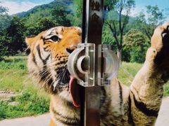 -西安秦岭野生动物园