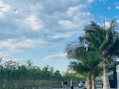 -天津东丽湖风景区