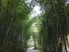 -水墨汀溪风景区