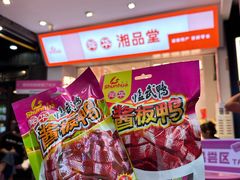 -舜华临武鸭·湖南零食特产(三王街店)