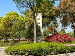 -贡湖湾湿地公园