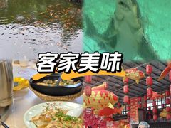 -年辉渔村·非遗传承餐厅(新丰江店)