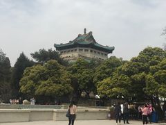 -武汉大学-樱园