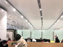 麦辣鸡腿汉堡-麦当劳(北京大兴机场二层国内到达(安检外)店)