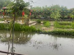 -同銮特种养殖场·龙虾垂钓