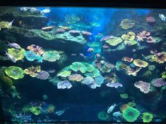 -暹罗海洋世界