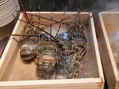 -码头见·潮汕菜(领展中心城店)